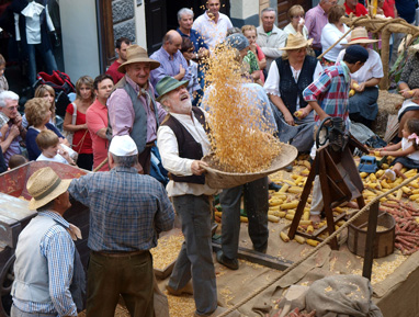 festival-delle-sagre