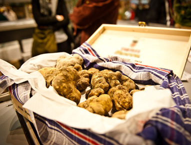 Fiera del Tartufo di Alba